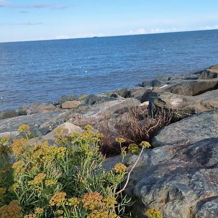 Knockrobin ويكلو